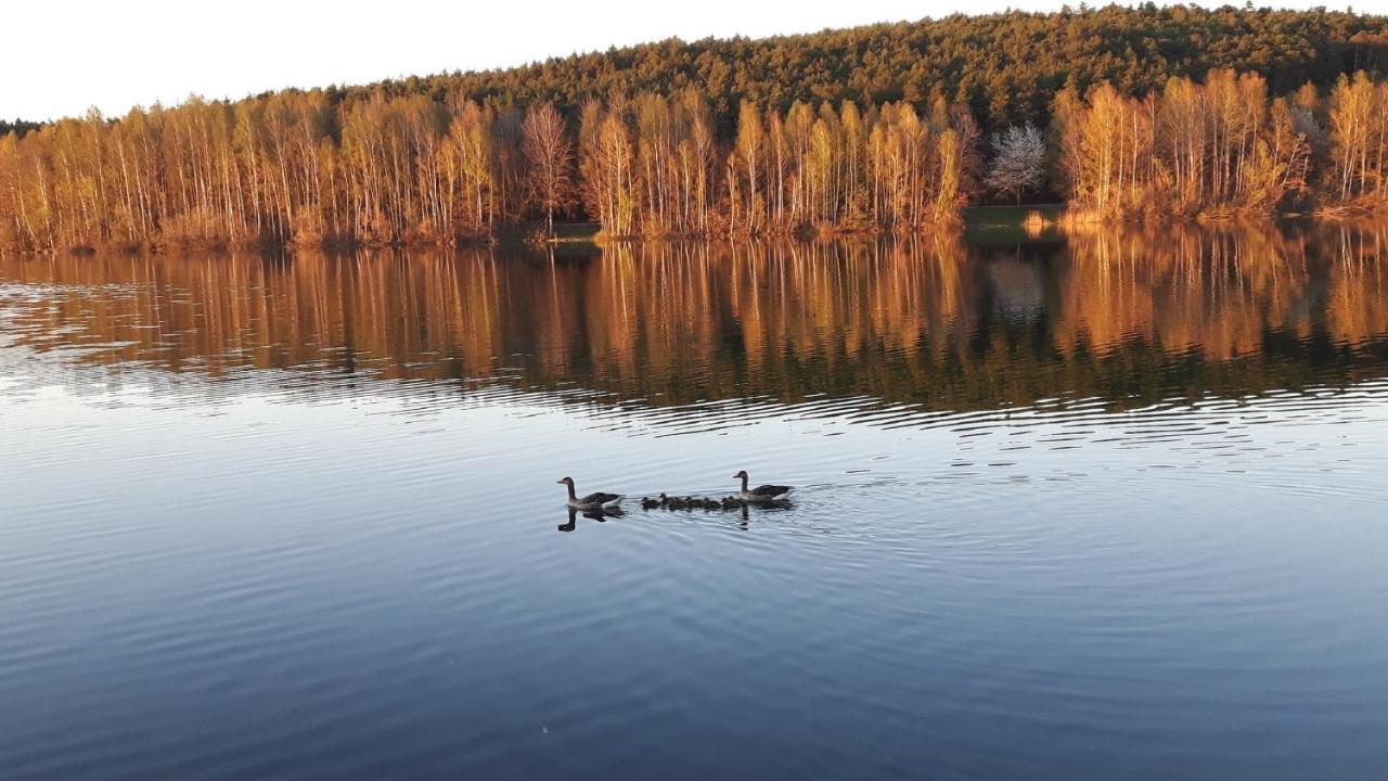 Ferienwohnung Schwalbennest Am Igelsbachsee Absberg Buitenkant foto